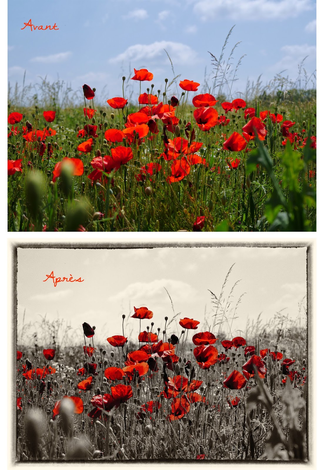 Clindoeildesign Noir et Blanc et colorisation partielle : Filtre SILVER EFEX NIK Collection