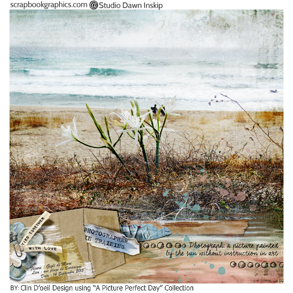 A Picture perfect day Clin d'oeil Design scrap digital