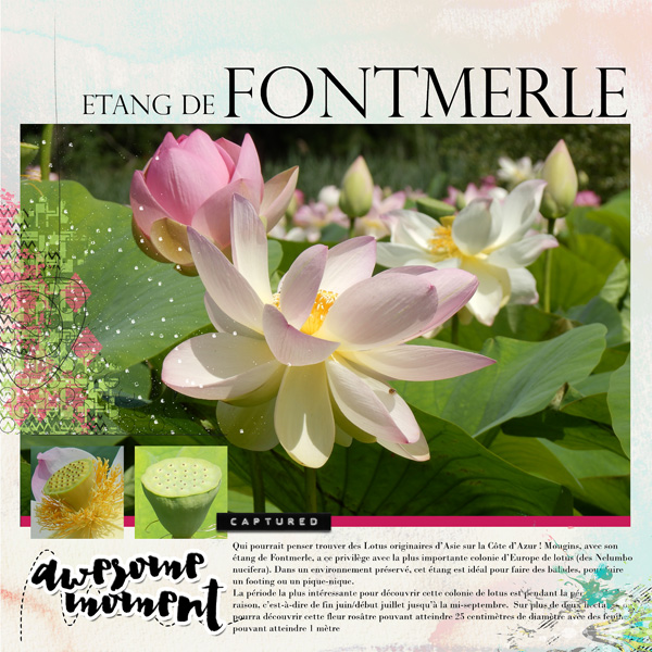 NBK Design Storybook templates a double page by Clin d'oeil Design