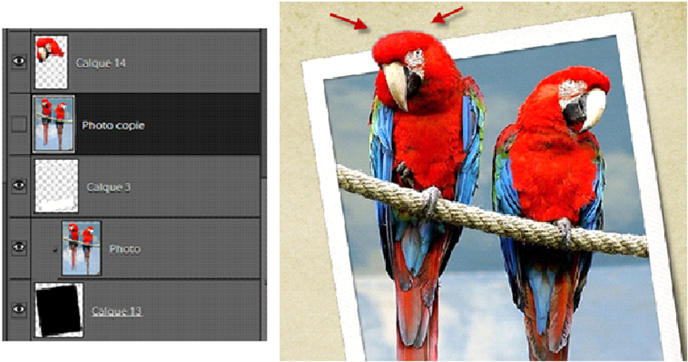 Tuto Hors cadre - HC - Out of Bound - OoB Photoshop et PSE- Clin d'oeil Design