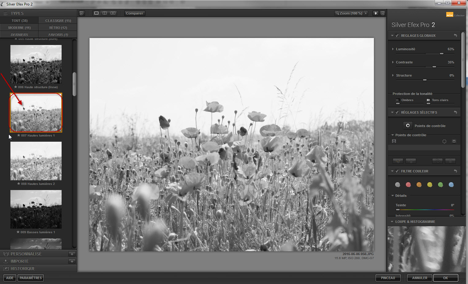 Clindoeildesign Noir et Blanc et colorisation partielle : Filtre SILVER EFEX NIK Collection