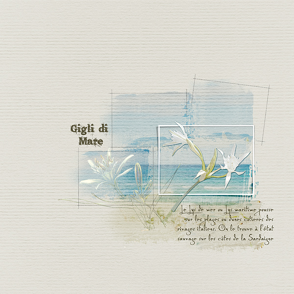 AnnaLift 10.3.15 - 10.9.15 - Clin d'oeil Design