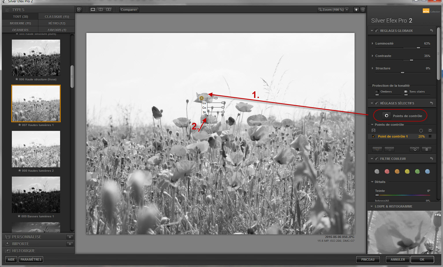 Clindoeildesign Noir et Blanc et colorisation partielle : Filtre SILVER EFEX NIK Collection