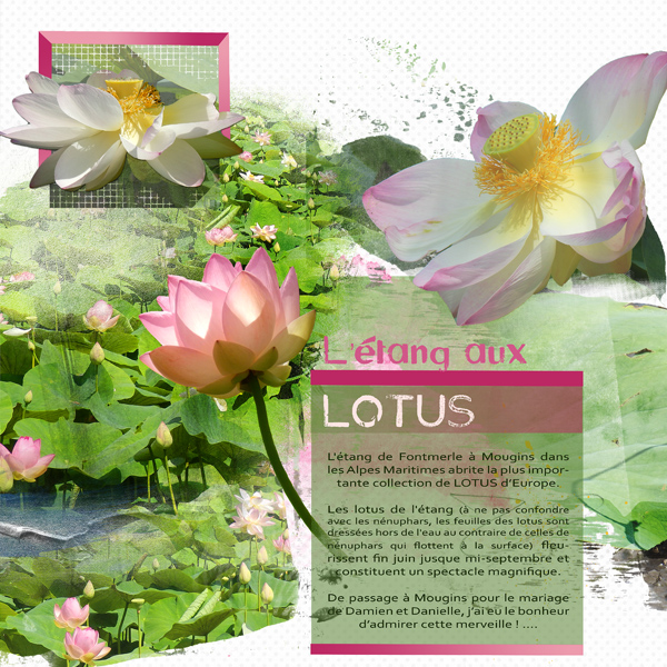 L'étang aux Lotus - Fontmerle - Mougins(06) Challenge Typo Publiscrap 2015/06 by Clin d'oeil design