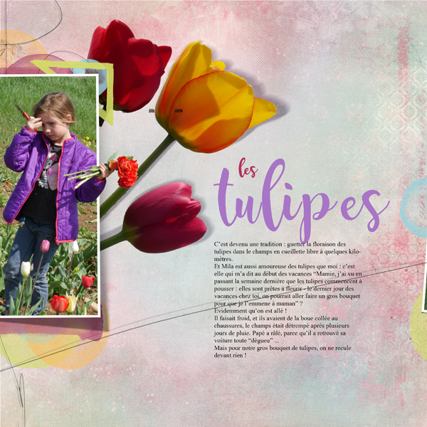 Les tulipes MAY Bundle by NBK design scrap templates double page