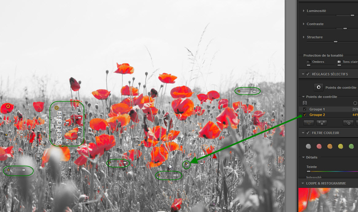 Clindoeildesign Noir et Blanc et colorisation partielle : Filtre SILVER EFEX NIK Collection