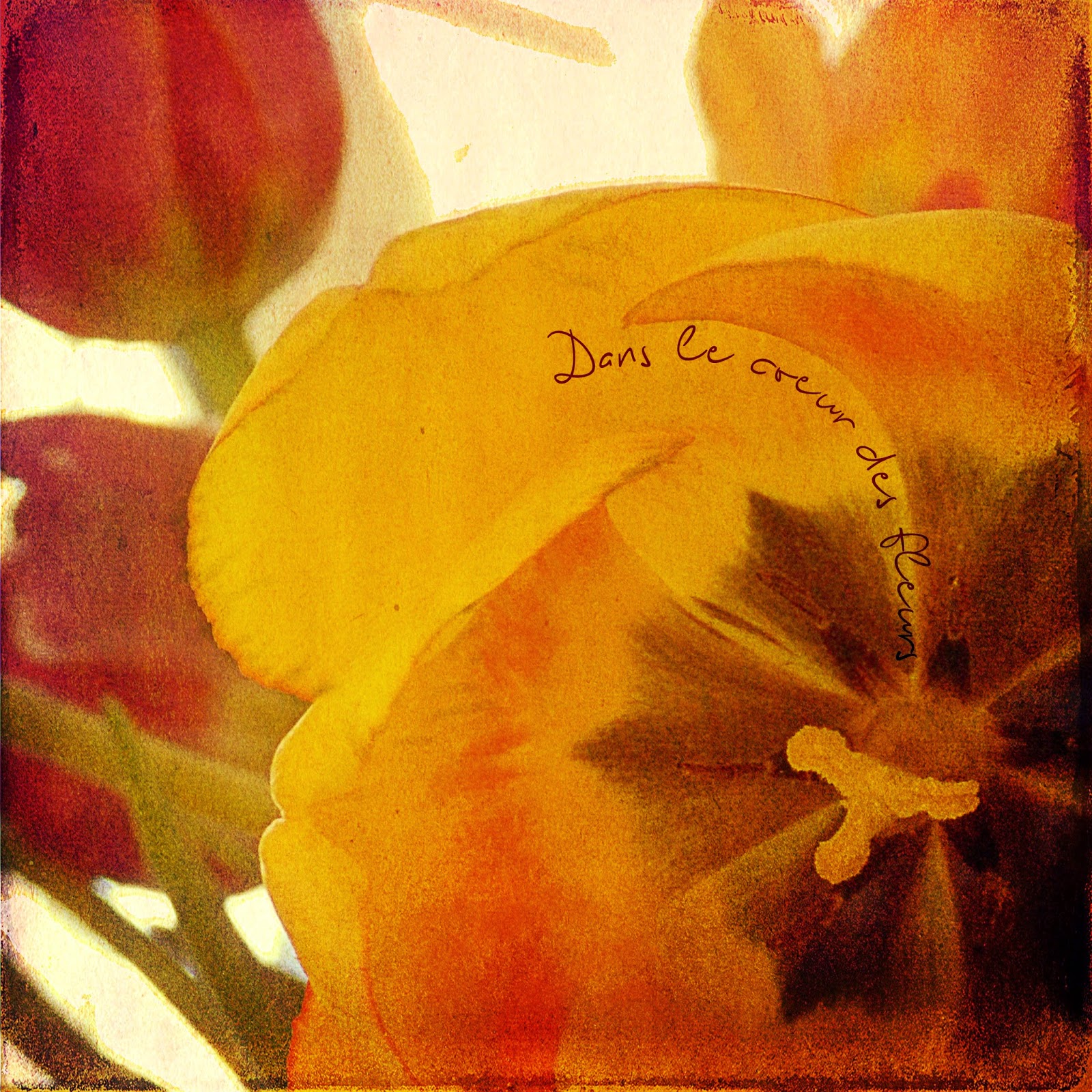 Dans le coeur des fleurs, blending scrap digital Dans le coeur des fleurs, blending scrap digital
