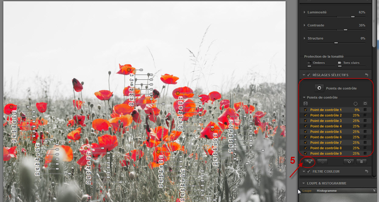 Clindoeildesign Noir et Blanc et colorisation partielle : Filtre SILVER EFEX NIK Collection