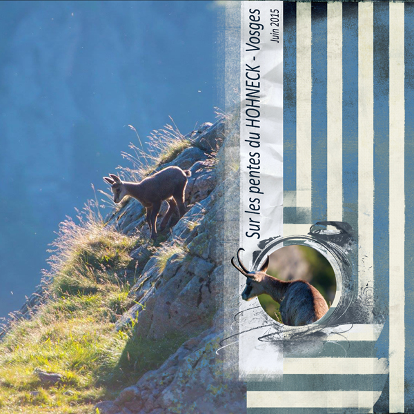 Sur les pentes du Hohneck - Vosges Clin d'Oeil Design pour challenge visiteur Juillet Publiscrap