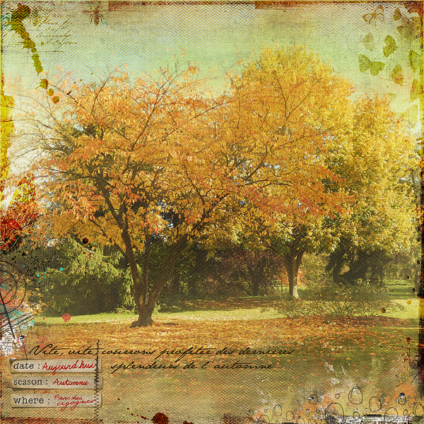 L'automne , Clin d'oeil design