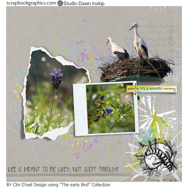 Clindoeil Design; Early bird dawn Inskip