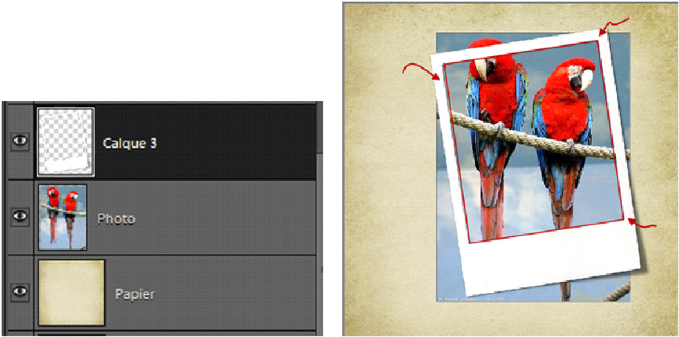 Tuto Hors cadre - HC - Out of Bound - OoB Photoshop et PSE- Clin d'oeil Design