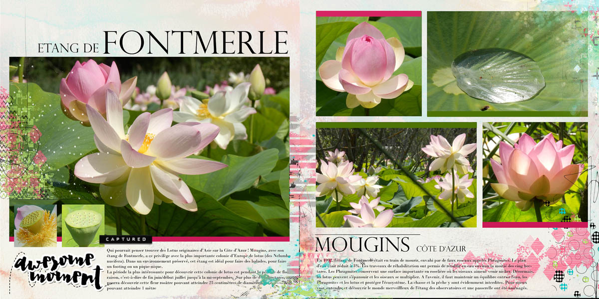 NBK Design Storybook templates a double page by Clin d'oeil Design