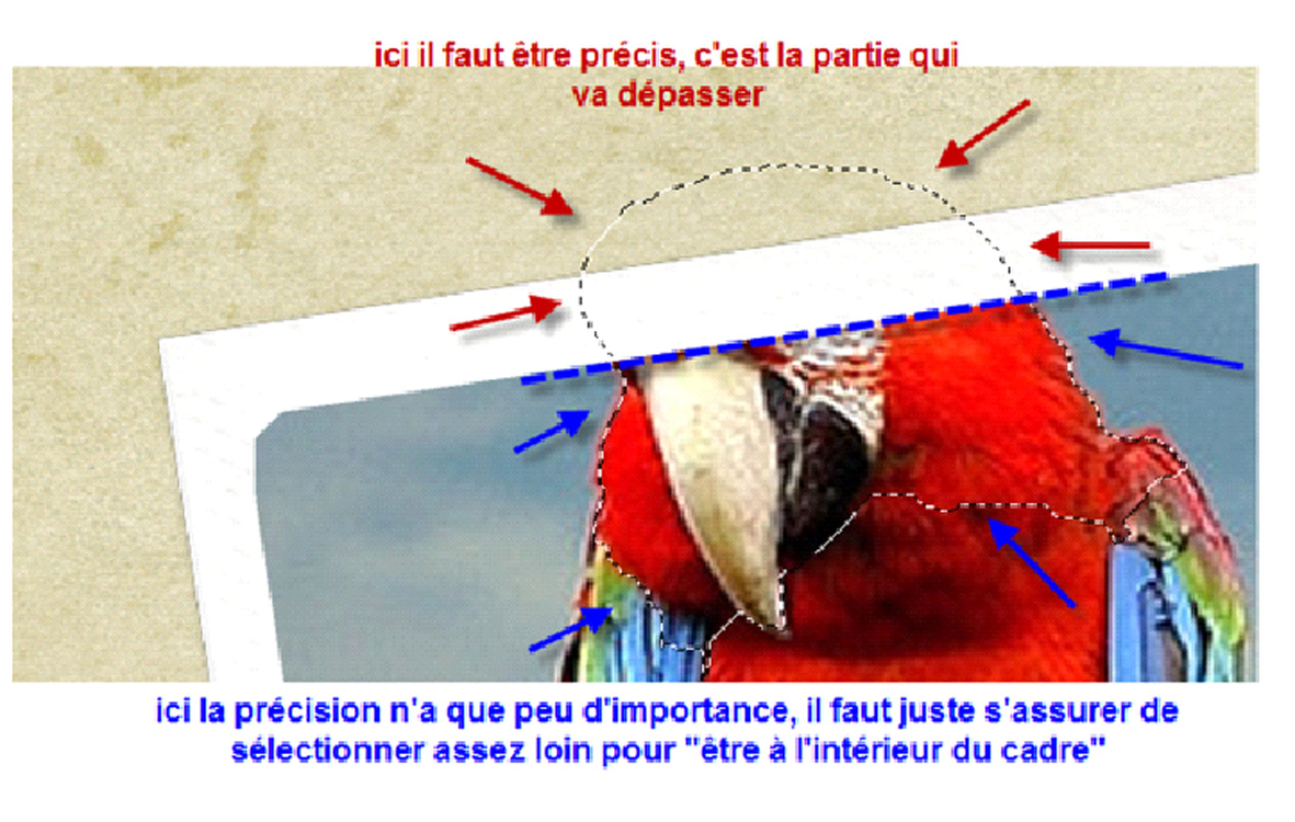 Tuto Hors cadre - HC - Out of Bound - OoB Photoshop et PSE- Clin d'oeil Design