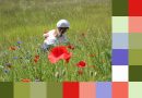 Tuto créer un nuancier dans photoshop ou PSE à partir d'une photo