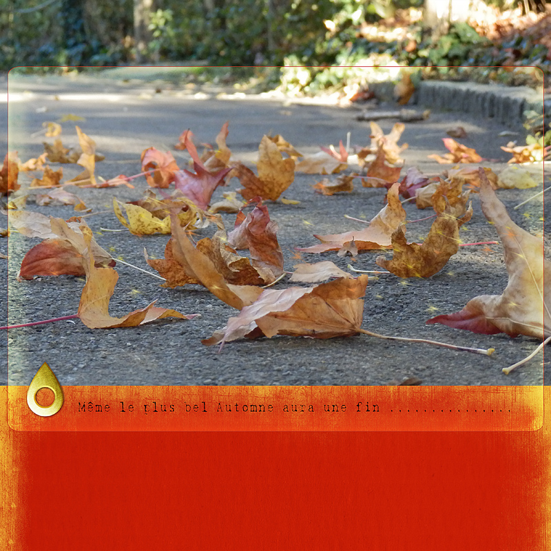 Cadre transparent Photoshop PSE opacité du fond