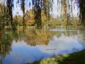 Une page d'automne by Clin d'oeil design