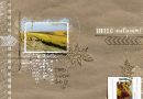 November memories Bellisae une page d'automne Clin d'oeil Design