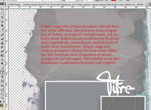 Photoshop les fondamentaux du texte