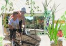Dans le jardin de Mamie Jacqueline - Kit Jack de Dawn Inskip