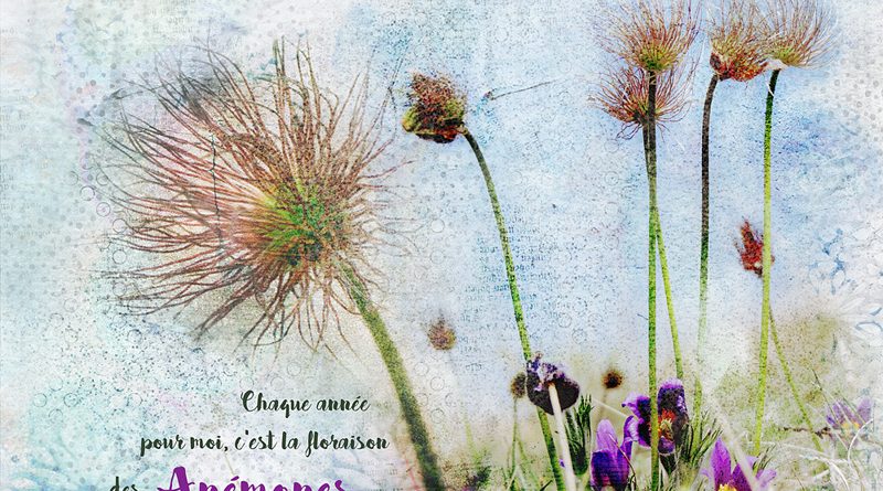 Create your own Background - NBK Design - Clin d'oeil Design