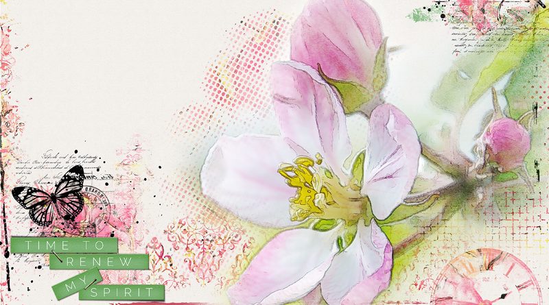 Renew my spirit Vicki Robinson Designs Time to Renew Kit Collection