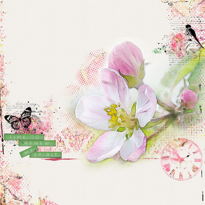 Renew my spirit Vicki Robinson Designs Time to Renew Kit Collection