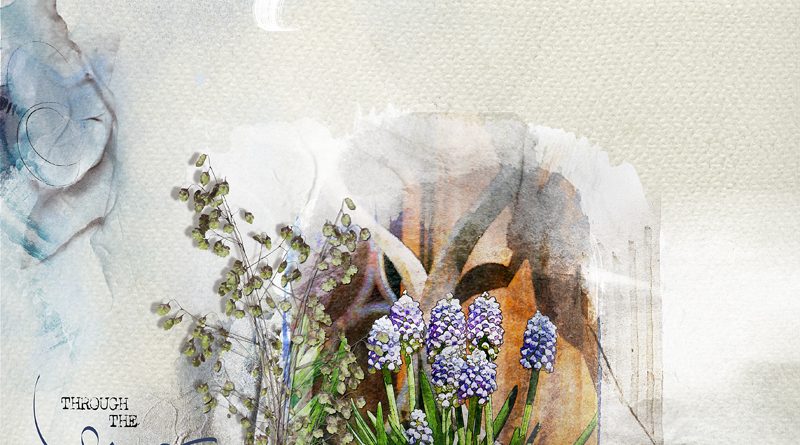 Through the lens Clin d'oeil Design