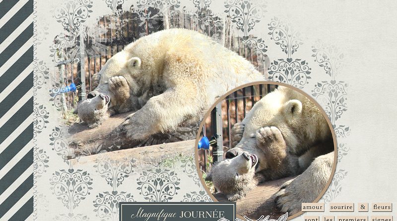 Nanuq le nouveau venu du zoo de Mulhouse