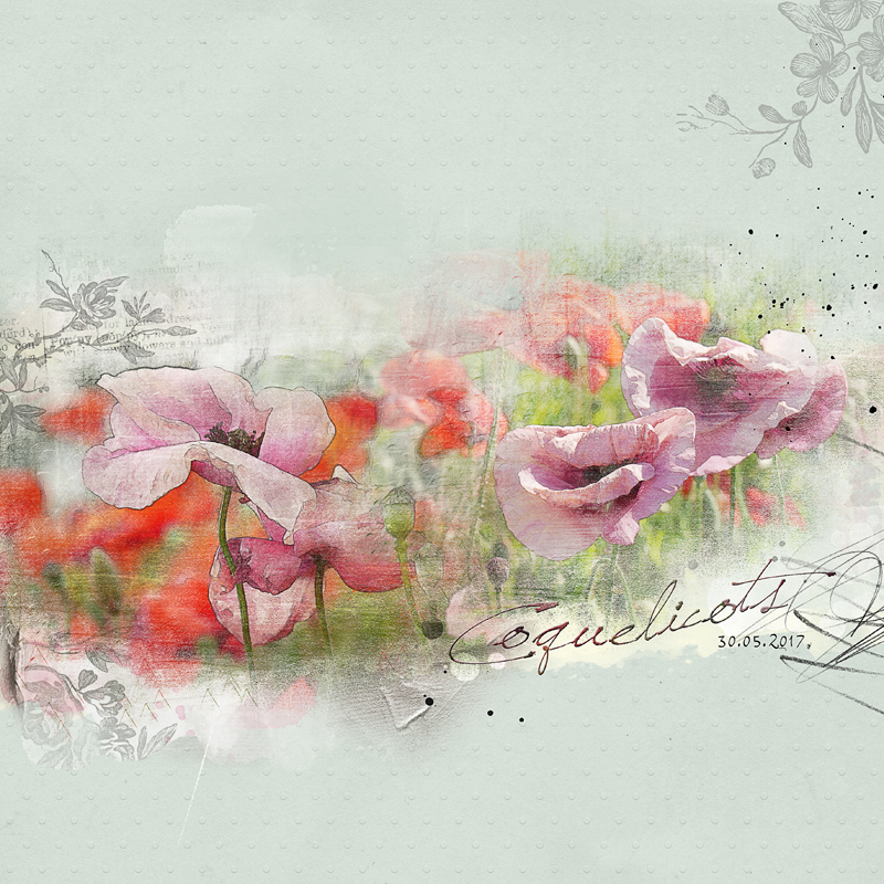 Coquelicots Anna Lift