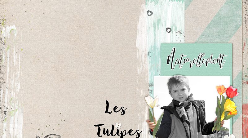 Les tulipes - Oscraps Mini'O Avril