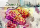 Zinnias - Anna Color challenge