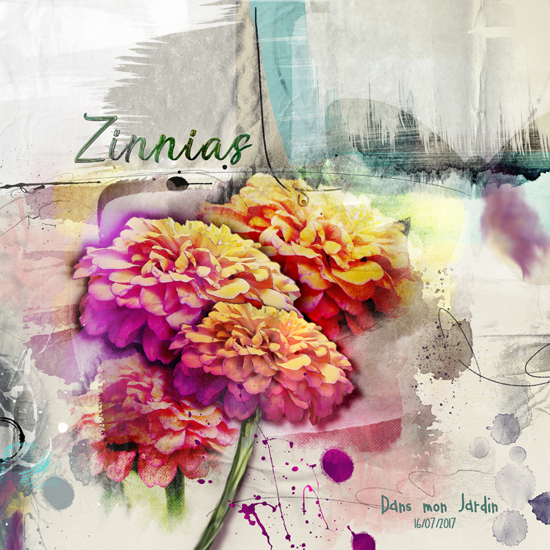 Zinnias - Anna Color challenge