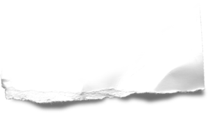 Ombres réalistes