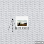 Look, See, Stop, Snap