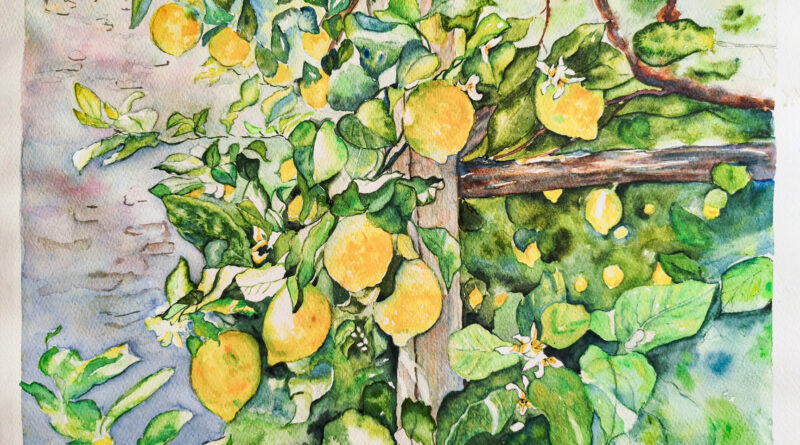 Aquarelle les citrons