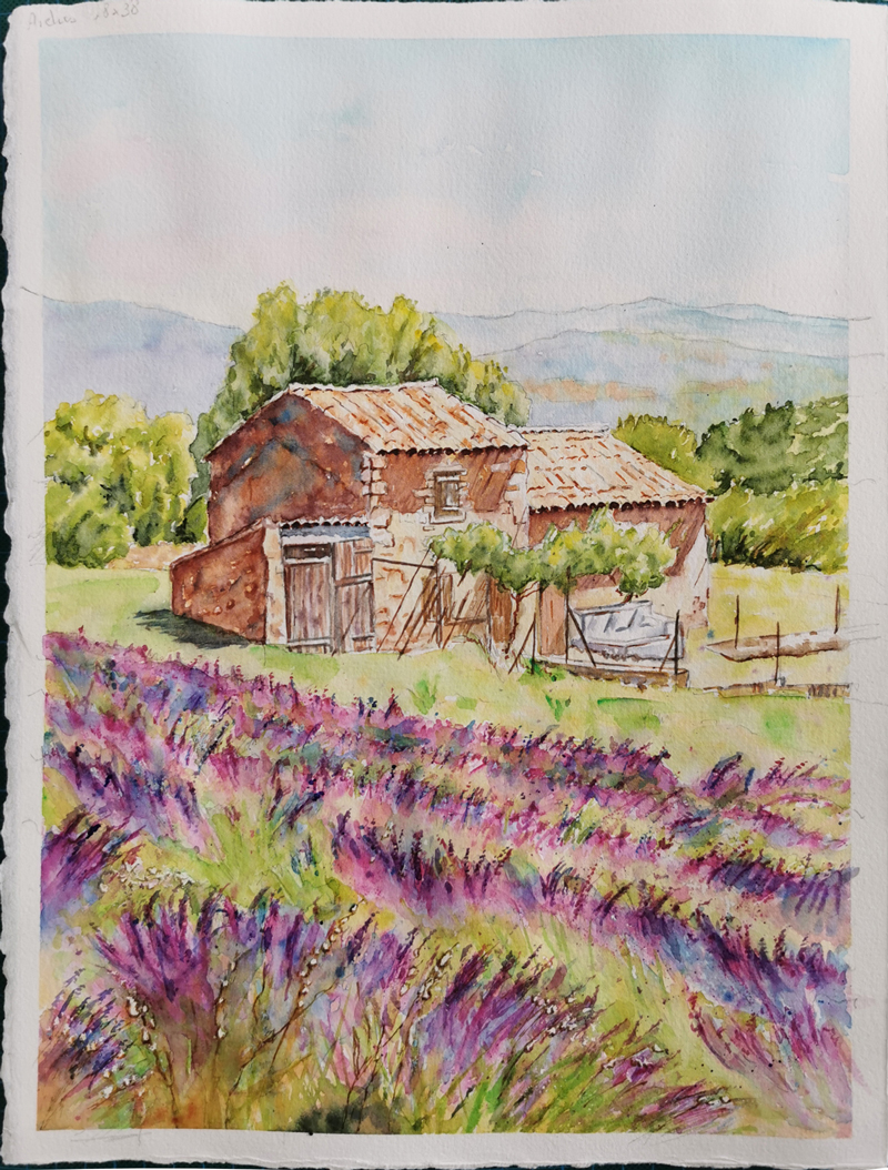 Le cabanon aux lavandes